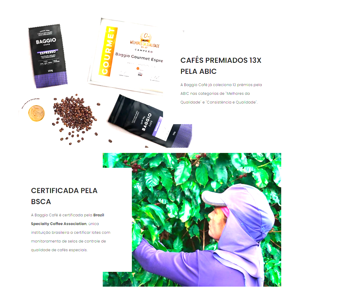 Café Baggio em composição com grãos e plantação